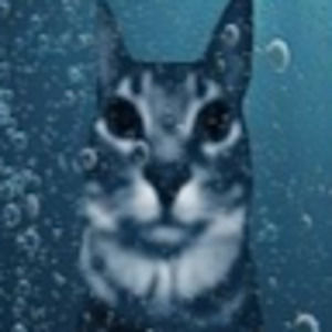 Meet your Posher, Senseimanny